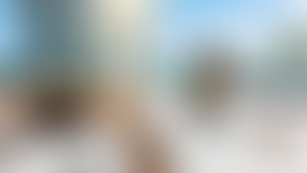 Florida Condo Laws: A Compliance Guide to Chapter 718 (2026 Update)