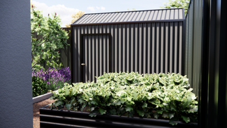 Compact backyard with a raised vegetable garden and black metal shed.