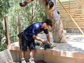 Enhance Your Garden Landscaping with Simple Carpentry Statement Pieces