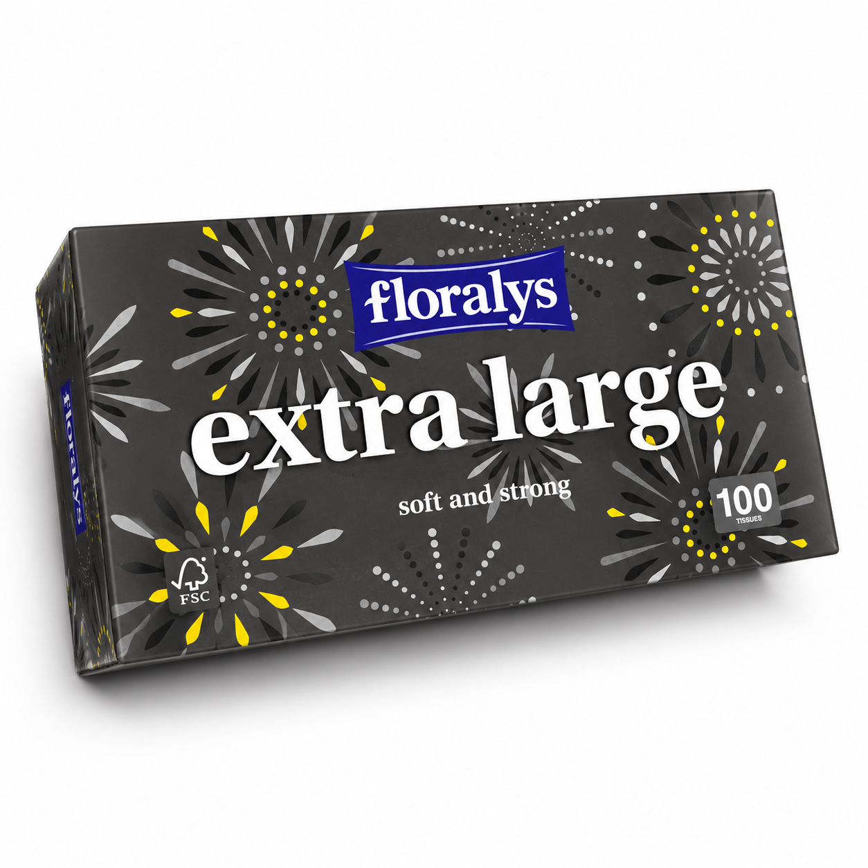 Floralys Extra Large Soft & Strong Facial Tissues 100 Sheets Premium Box Pack