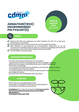 Animateur environnement polyvalent.png