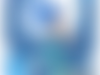 Fête de l'environnement - Beaulieu/mer