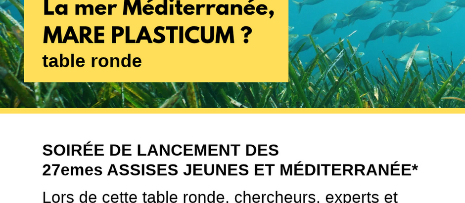 Table ronde : “La mer Méditerranée, Mare Plasticum ?”