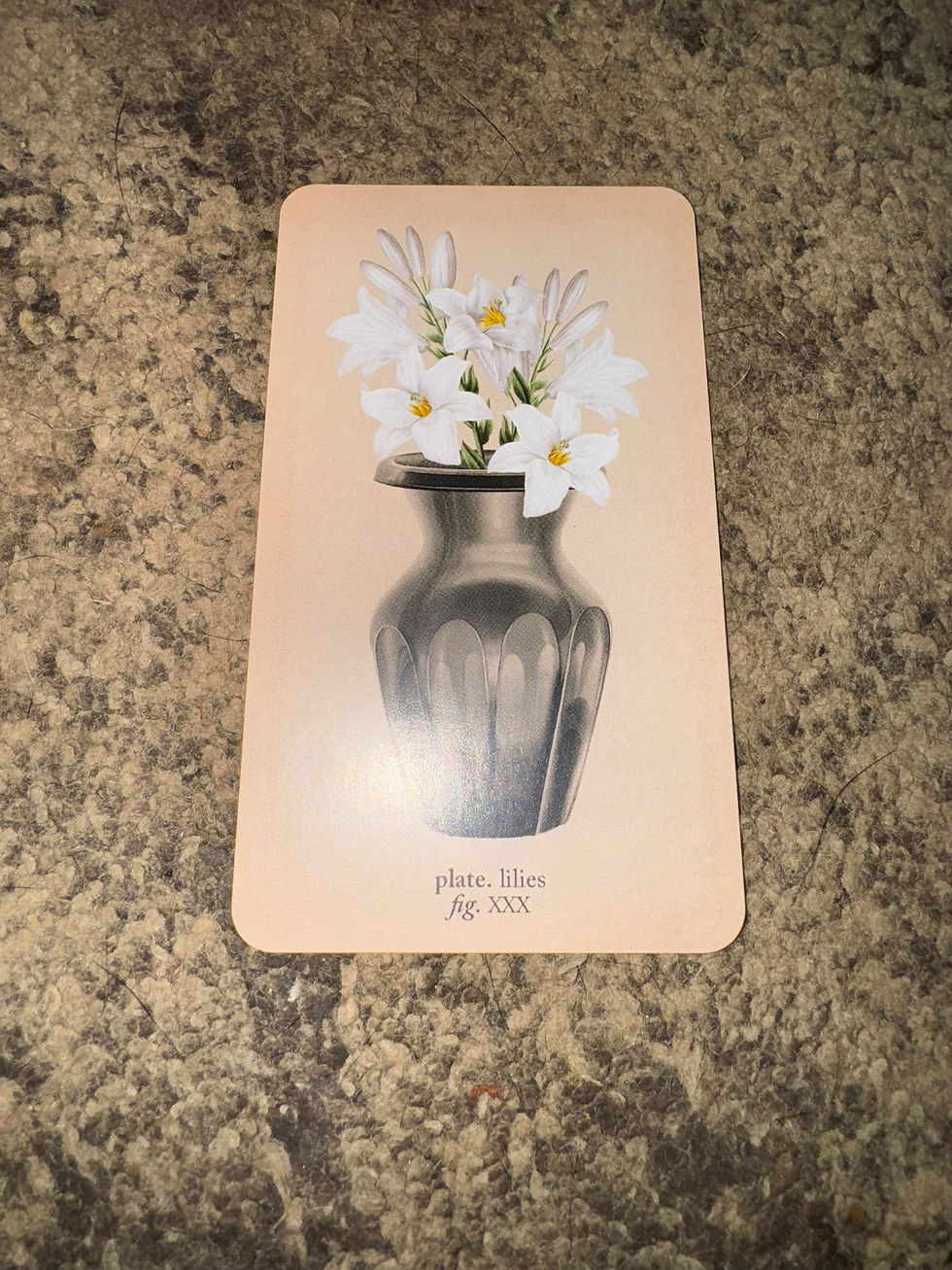 mercy. chastity. a renewal. type of funeral flower. a moment of peace.