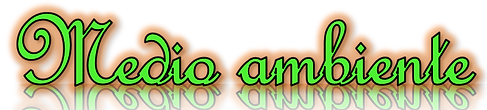 ambiente.png