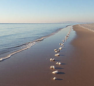 f502cae1-dc51-4abc-908a-a2cb230b3f00gabriel-calazans (1)_edited.jpg