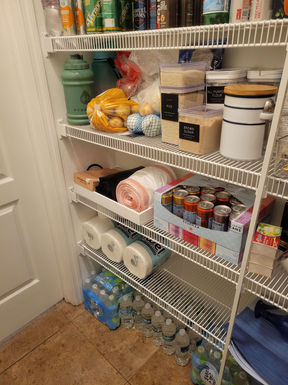 Organized pantry in Wesley Chapel featuring labeled containers, categorized food storage, and efficient organization systems leaving room for more groceries