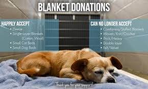 dog sleeping with blanket donations caption.