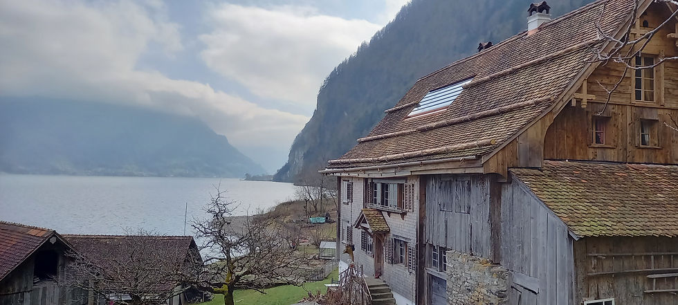 Dachfenster Denkmalschutz ab:
