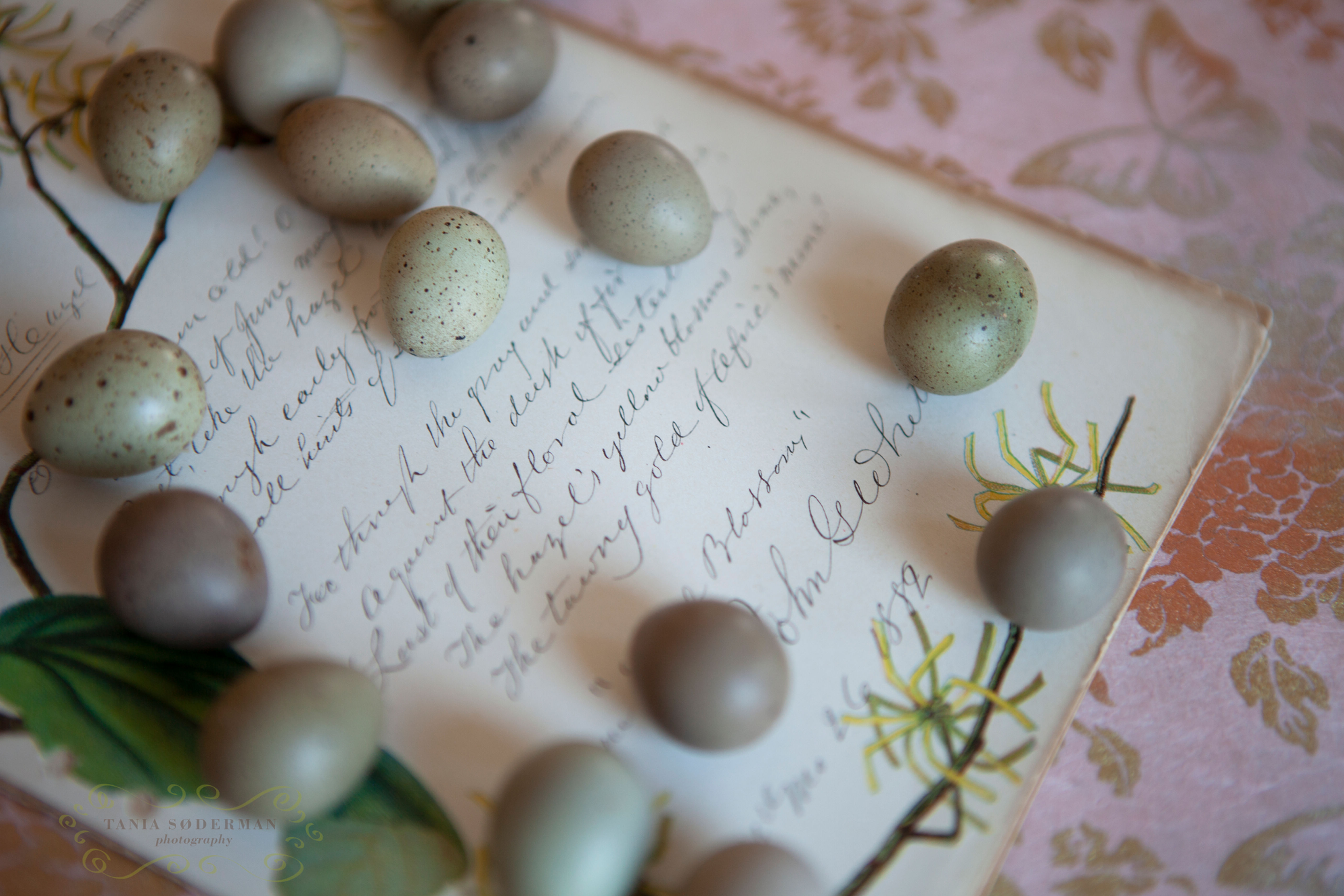 The Love letter - Greeting Card