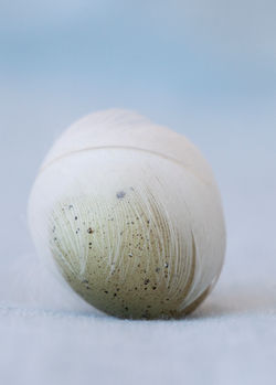 Egg feather green The Lodge 10x12 IMG_7101cropped 8x10