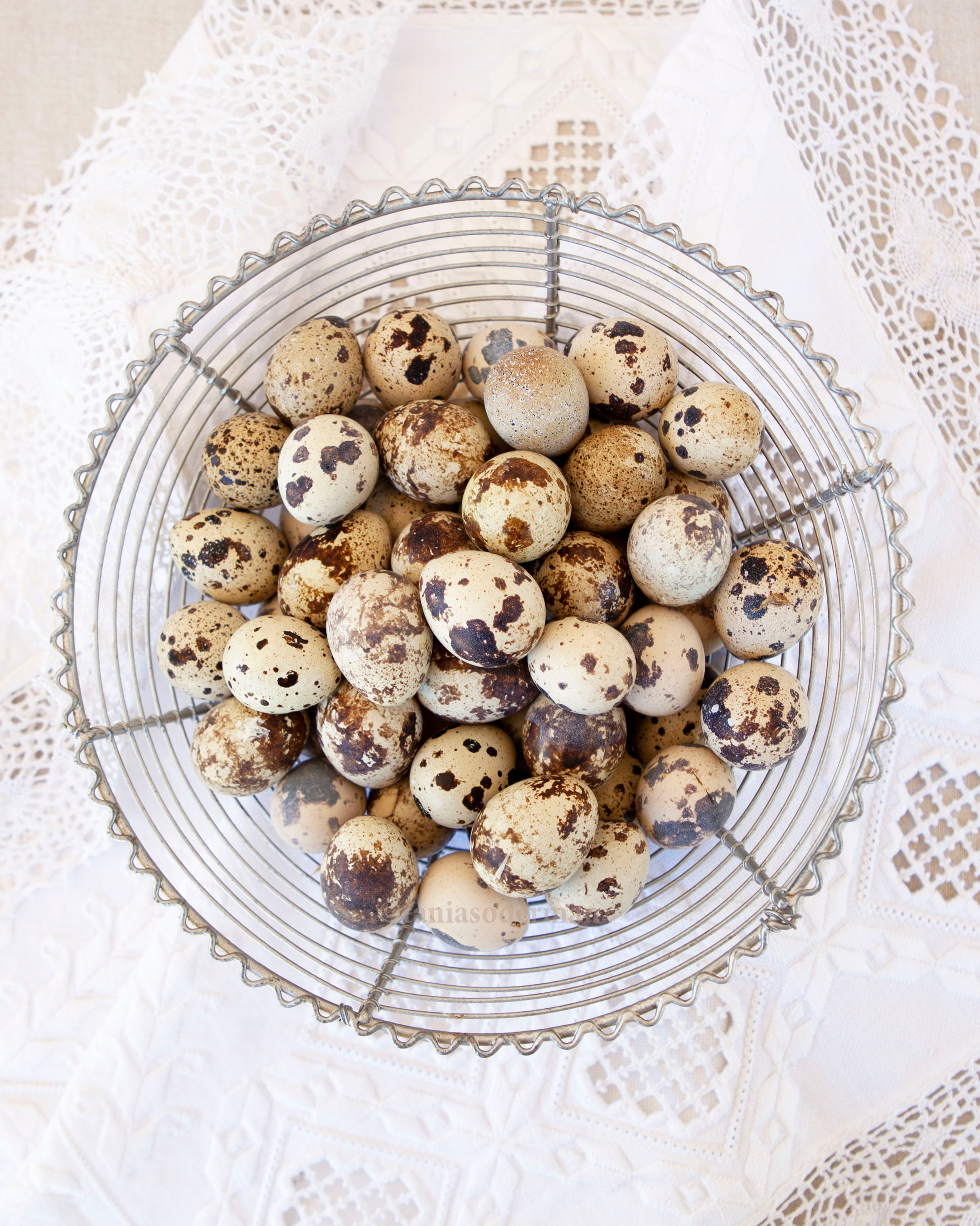 Quail Eggs on Linen