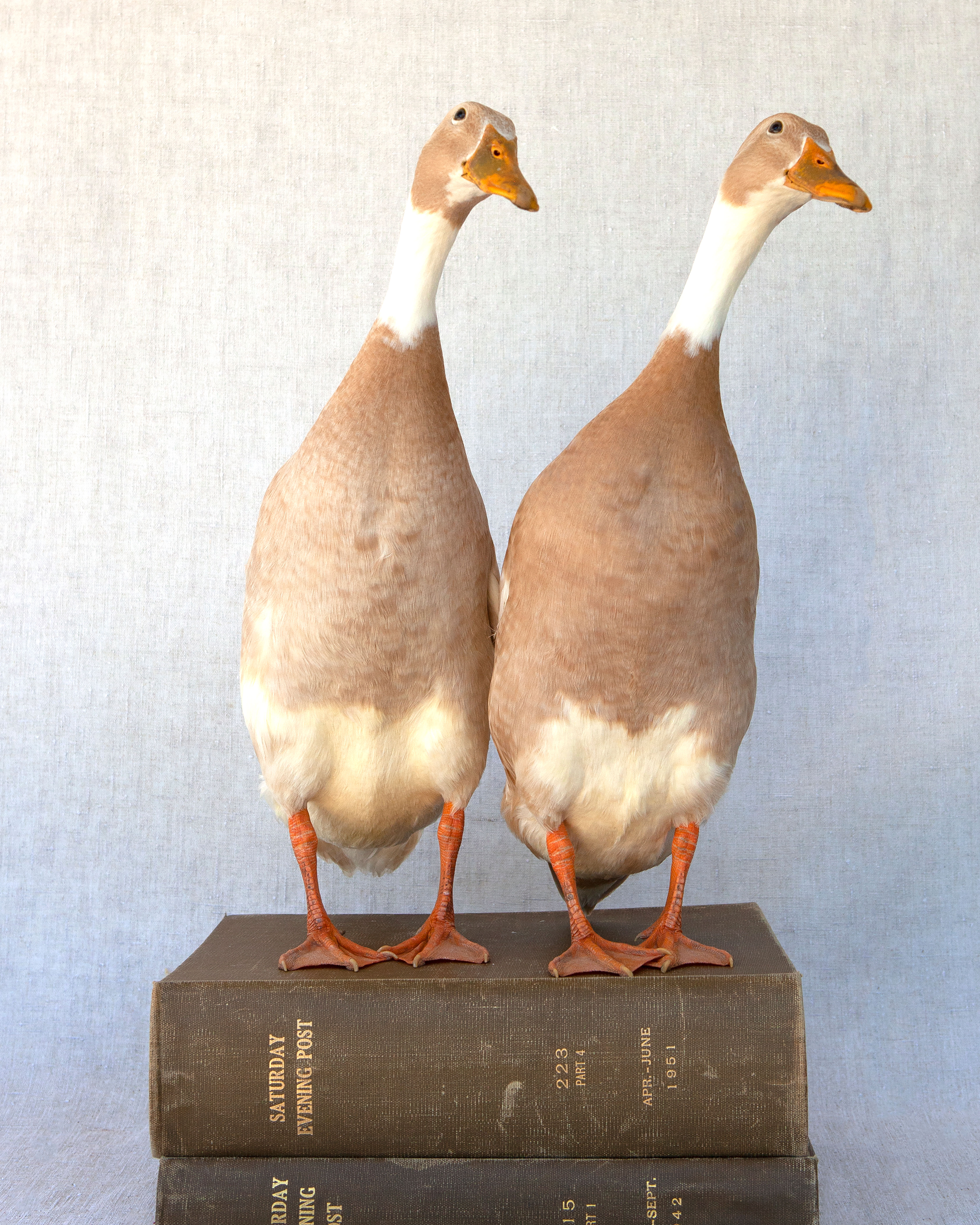 Edith And Mildreth - Greeting Card