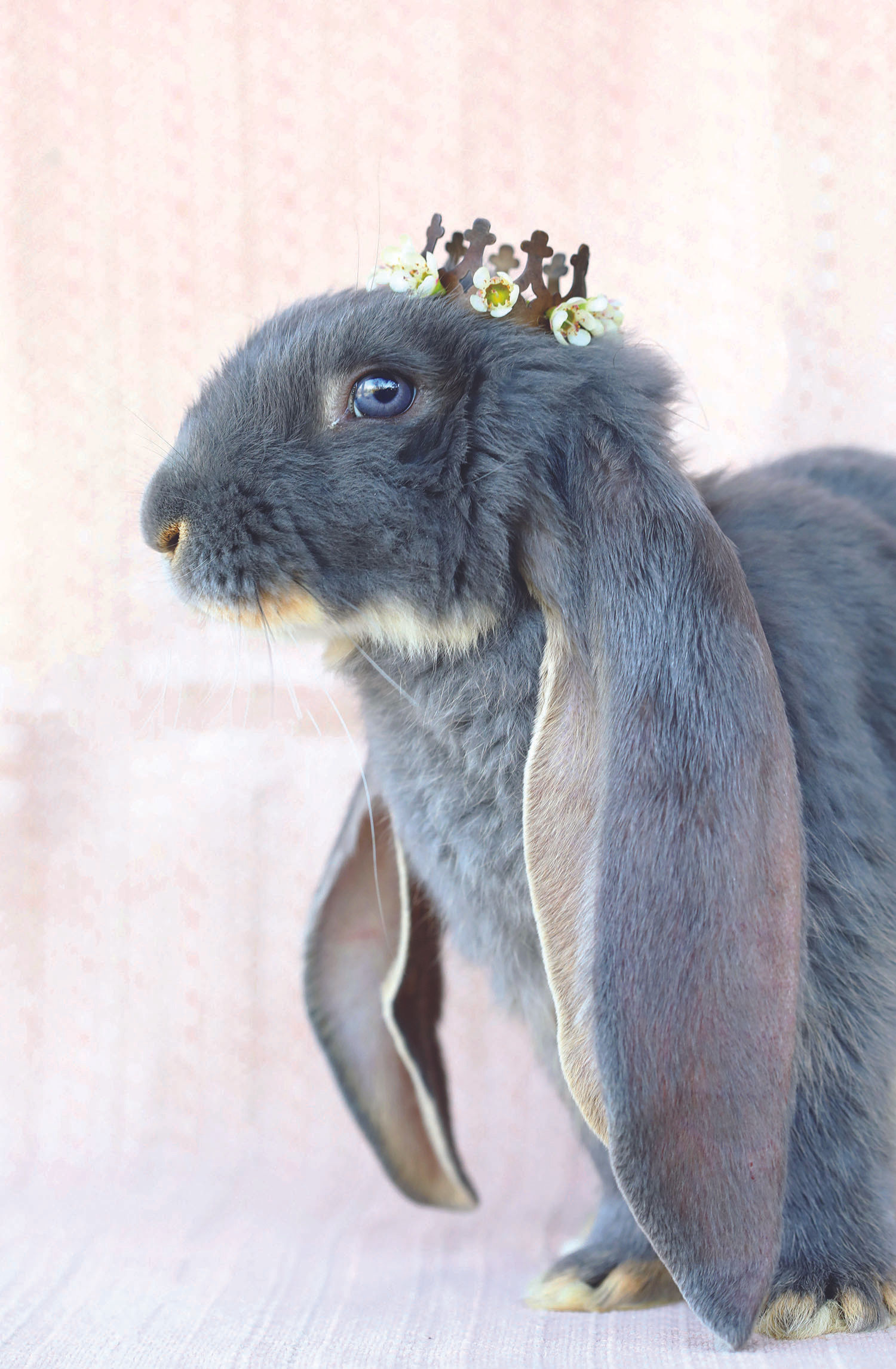 Promise - Fine Art Limited Edition.