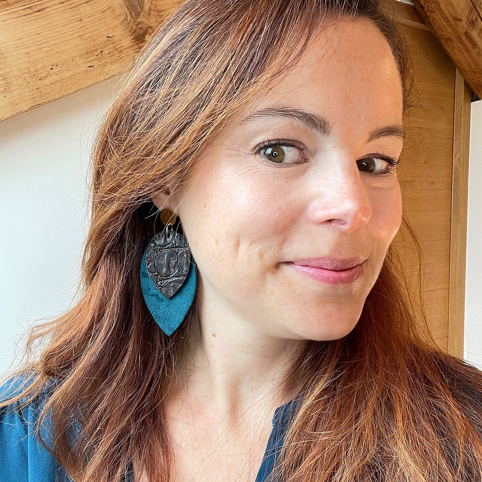 Miniature : ANA Canard