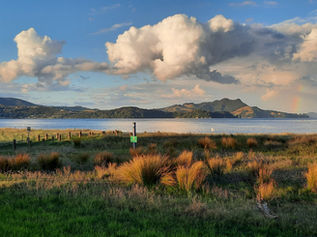 2022 Golf New Zealand Women's Senior Foursomes