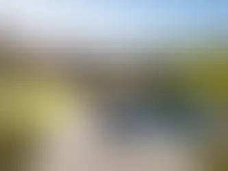 QUION ROCK WINE ESTATE