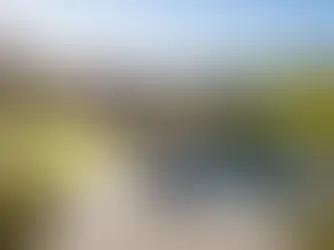 QUION ROCK WINE ESTATE