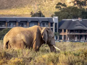 AQUILA PRIVATE GAME RESERVE