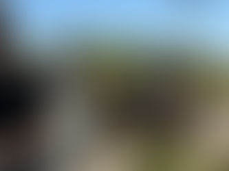 HORSE RIDING CAPE TOWN