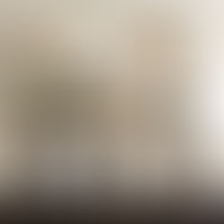 Project Spotlight: Majestic Oaks