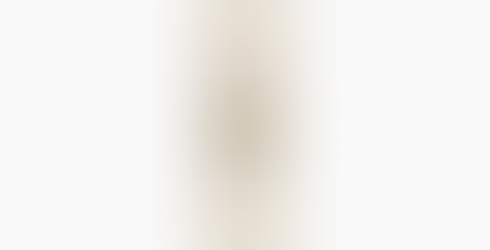 Allen Medium Linear Sconce