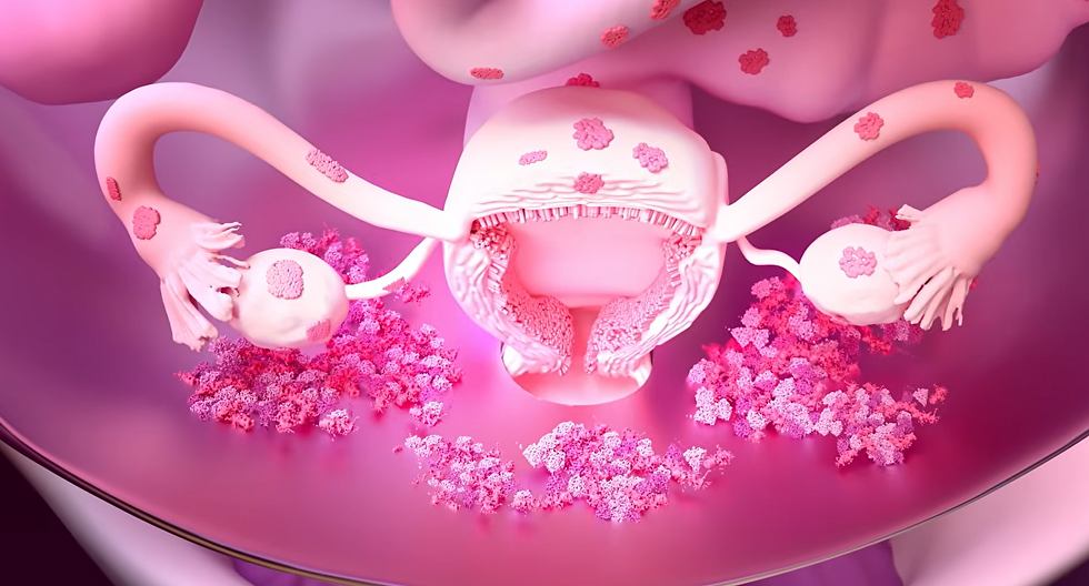 Functional Pelvic Floor Coach