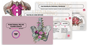 Menstrual Cycle Informed Coach