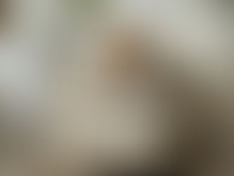 MOGG BED入荷しました