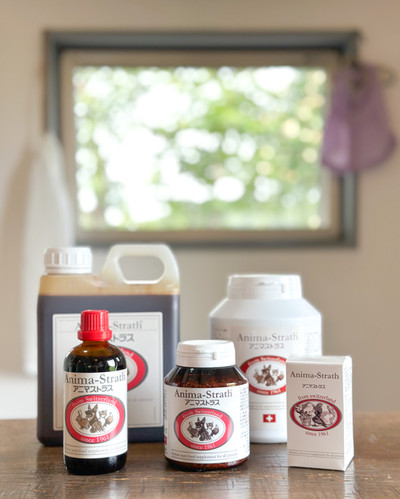 アニマストラス | nakku