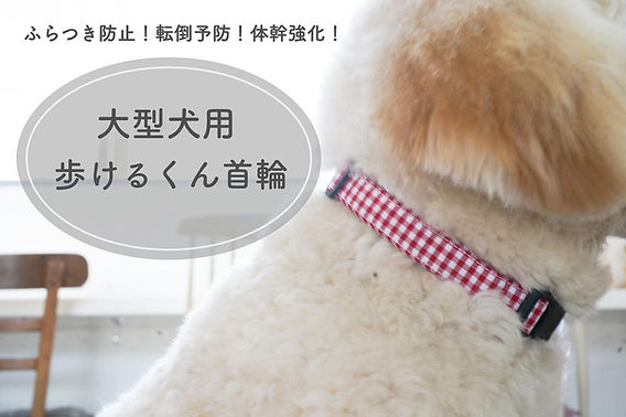 歩けるくん首輪・大型犬用