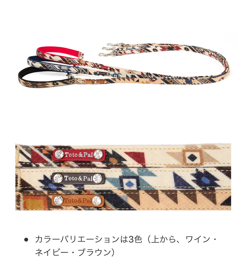 サムネイル： キリム柄カラー＆リード