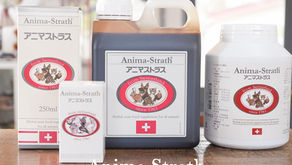 季節の変わり目、体調崩していませんか?発酵サプリ「アニマストラス」オススメです