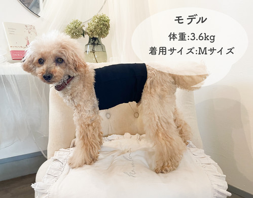 歩けるくん腹巻 | nakku