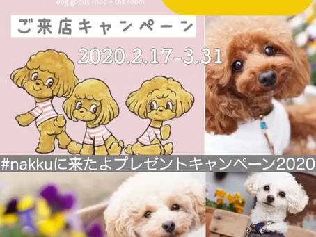 #nakkuに来たよプレゼントキャンペーン2020ご参加ありがとうございます