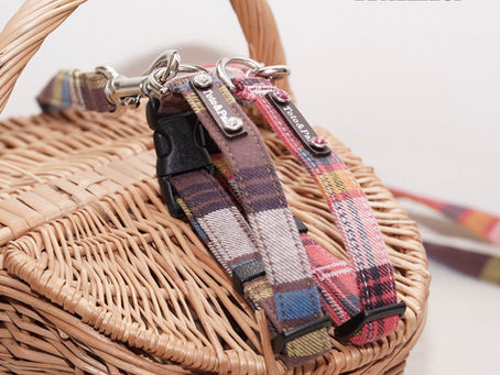 ベルギーチェック・カラー＆リード入荷しました