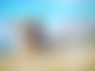 2020年2月3月happy nakku教室のご案内です