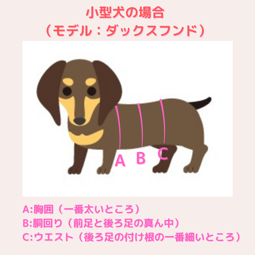 歩けるくん腹巻 | nakku