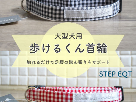 歩けるくん首輪・大型犬用 販売開始♬