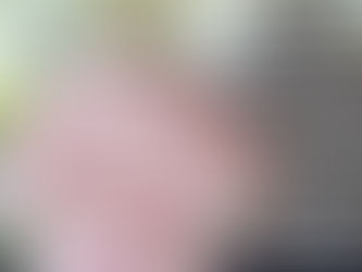 Boatneck border Leopard Puffsleeve入荷