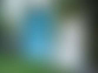 ワッフルランニング/アンカーボーダーランニング入荷