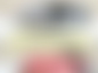 【歩けるくん・首輪】歩行用補助首輪 販売のお知らせ