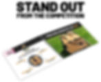STAND OUT.jpg