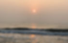 IMG_2390_edited.jpg