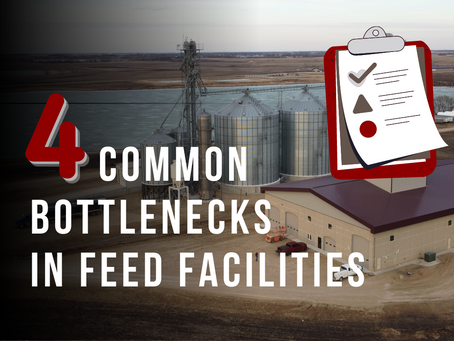 Four Common Bottlenecks in Feed Facilities