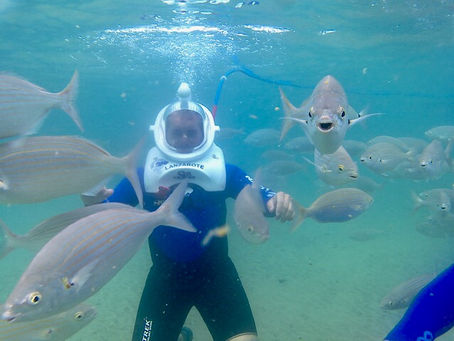 Sea Trek - Everyone must do this !