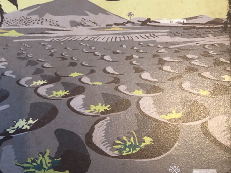 Covid travel tests axed in England and Scotland for fully vaccinated