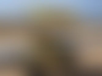 Fred Flinstone............