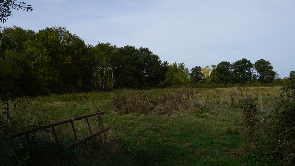 DSC01976