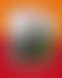 FR.ED unterwegs in Südwinsen – SicherheitsCelle und Suritec Frühwarnsystem sorgen für Einbruchschutz und mehr Sicherheit im Landkreis Celle.